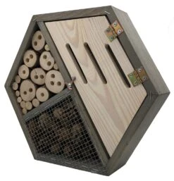 Daktuin Beezzz 'n Bio Daktuinpakket -Natuurcentrum Winkel beezzz n bio daktuinpakket 2156x2240 62861f3405f59 l