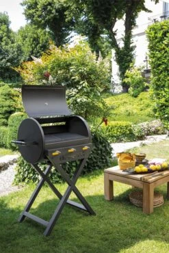 Boretti Addizio Gas Barbecue -Natuurcentrum Winkel boretti addizio gas barbecue 667x1000 62065ab38f4b4 l