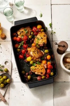 Boretti Solido Ovenschaal -Natuurcentrum Winkel boretti solido ovenschaal 667x1000 62065ac765643 l