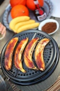 COBB Pro Aluminiumgrijs Houtskoolbarbecue -Natuurcentrum Winkel cobb pro aluminiumgrijs houtskoolbarbecue 320x480 62b963d7d7abc l