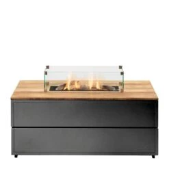 COSIPURE 120x80x48 Antracite /teak Top -Natuurcentrum Winkel cosi fires cosipure 120 black frame teak top 1000x1000 620e4259ac817 l