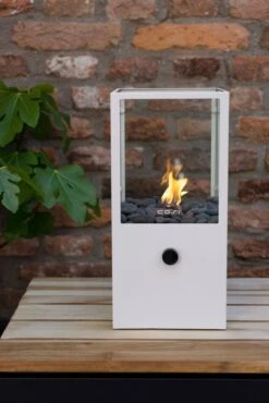 COSISCOOP Dome White -Natuurcentrum Winkel cosi fires cosiscoop dome white 667x1000 620e423790103 l