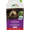 DCM Aaltjes Tegen Larven Van De Taxuskever (Kraussi-Guard®) - Bestelcode - 100 M² (50 Mio. Aaltjes) -Natuurcentrum Winkel dcm aaltjes tegen larven van de taxuskever kraussi guard bes 1000x1000 648300324a29e l