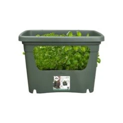 Elho Plantenbak Green Basics Stack & Grow Large Groen -Natuurcentrum Winkel elho plantenbak green basics stack grow large groen 800x800 620e3d4daa1b4 l