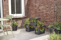 Elho Plantenbak Green Basics Stack & Grow Large Zwart -Natuurcentrum Winkel elho plantenbak green basics stack grow large zwart 800x534 620e3d4fc59c1 l