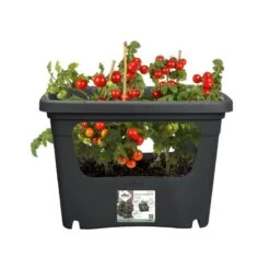 Elho Plantenbak Green Basics Stack & Grow Large Zwart -Natuurcentrum Winkel elho plantenbak green basics stack grow large zwart 800x800 620e3d4eed857 l