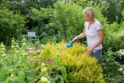GARDENA Accu Gras- En Buxusschaar Set Accucut Li -Natuurcentrum Winkel gardena accu gras en buxusschaar set accucut li 1619704816 l