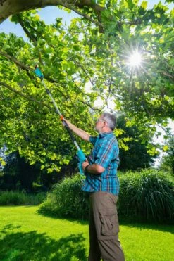 GARDENA Accu Telescopische Snoeizaag TCS 20/18 P4A Solo -Natuurcentrum Winkel gardena accu telescopische snoeizaag tcs 20 18 p4a solo 1000x1500 640af3255d2cf l
