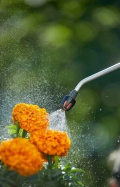 GARDENA Drukspuit 5 L -Natuurcentrum Winkel gardena drukspuit 5 l 1619704865 1 l