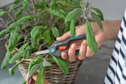 GARDENA FreshCut -Natuurcentrum Winkel gardena freshcut 1500x1000 640af8175f65c l