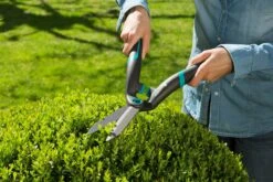 GARDENA PrecisionCut Heggenschaar -Natuurcentrum Winkel gardena precisioncut heggenschaar 1500x1000 640af7caf009e l