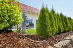 GARDENA Micro-Drip-System Startset M 25m Autom. Rijplanten -Natuurcentrum Winkel gardena startset m 25m autom 1500x1000 640af4f6bb51a l