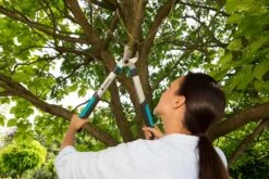 GARDENA Takkenschaar EasyCut 500 B -Natuurcentrum Winkel gardena takkenschaar easycut 500 b 1500x1000 640af7e5d4f80 l