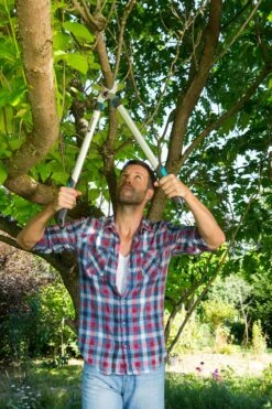 GARDENA Takkenschaar EasyCut 680 B -Natuurcentrum Winkel gardena takkenschaar easycut 680 b 1000x1500 640af7e944a14 l