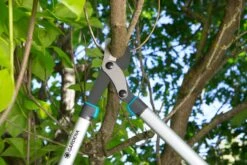 GARDENA Takkenschaar EnergyCut 750 B -Natuurcentrum Winkel gardena takkenschaar energycut 750 b 1500x1000 640af848a316f l
