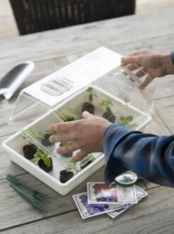 Nature Deksel Voor Kweekbak 55x31cm -Natuurcentrum Winkel nature deksel voor kweekbak 55x31cm 595x800 6214a0230c942 l