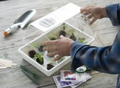 Nature Deksel Voor Kweekbak 55x31cm -Natuurcentrum Winkel nature deksel voor kweekbak 55x31cm 800x587 6214a0233f631 l