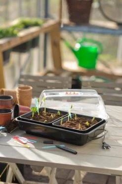 Nature Kweekkas Verwarmd 38x24cm -Natuurcentrum Winkel nature kweekkas verwarmd 38x24cm 534x800 6214a026e40ab l