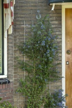 Nature Metalen Klimrek Groen - H145x72,5cm -Natuurcentrum Winkel nature metalen klimrek groen h145x72 5cm 1582732970 l