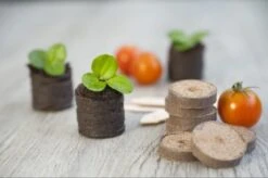 Nature Turftabletten 48st -Natuurcentrum Winkel nature turftabletten 48st 800x532 6214a01453d91 l