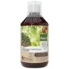 Pokon Bio Plantkuur Bladinsectgevoelige Planten Concentraat 500ml -Natuurcentrum Winkel pokon bio plantkuur bladinsecten 500ml 1614005885 l