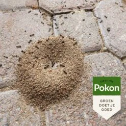 Pokon Tegen Mieren Korrels 400gr -Natuurcentrum Winkel pokon tegen mieren korrels 400gr 1000x1000 6221fb52c5ede l