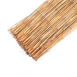 Rietmat - 500 X 200 Cm