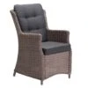 Royal Seasons PEPE Fauteuil -Natuurcentrum Winkel royal seasons pepe fauteuil 1000x1000 628746839a882 l