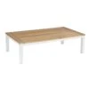 Royal Seasons RIVIÈRA Salontafel - L 130 X B 70 X H 36 Cm -Natuurcentrum Winkel royal seasons riviera salontafel 130 x 70 x 36 cm 1500x1500 63ea349f22cfc l