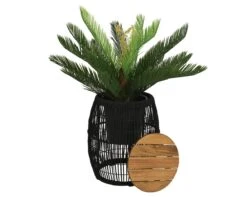 Seville Bijzet Tuintafel Zwart - Ø 40 X H 49 Cm -Natuurcentrum Winkel seville bijzet tuintafel zwart 40 x h 49 cm 1181x944 623469c004b51 l