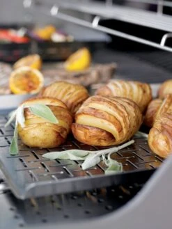 Weber® Deluxe Grillpan - Roestvrij Staal -Natuurcentrum Winkel weber deluxe grillpan roestvrij staal 1615542941 1 l