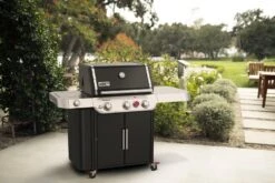 Weber Genesis® E-335 Gasbarbecue Black -Natuurcentrum Winkel weber genesis e 335 gasbarbecue black 1000x667 6256b75e4f125 l