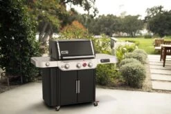 Weber Genesis® EX-335 Gasbarbecue Black -Natuurcentrum Winkel weber genesis ex 335 gasbarbecue black 1000x667 6256b760ac6b2 l