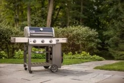 Weber® Genesis® II E-310 GBS Gasbarbecue -Natuurcentrum Winkel weber genesis ii e 310 gbs gasbarbecue 1614598263 l