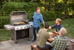 Weber® Genesis® II E-315 GBS Gasbarbecue -Natuurcentrum Winkel weber genesis ii e 315 gbs gasbarbecue 1614598334 l