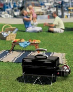 Weber® Go-Anywhere Gasbarbecue -Natuurcentrum Winkel weber go anywhere gasbarbecue 1614598044 l