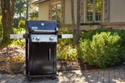 Weber® Spirit E-215 GBS Gasbarbecue -Natuurcentrum Winkel weber spirit e 215 gbs gasbarbecue 1614598416 l