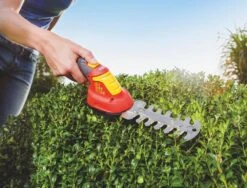 WOLF-Garten Accubuxus Finesse LI-ION PW 30B -Natuurcentrum Winkel wolf garten accubuxus finesse li ion pw 30b 1619177776 1 l