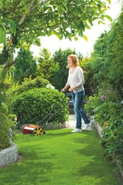 WOLF-Garten Kooimaaier 38CM TT380DL -Natuurcentrum Winkel wolf garten kooimaaier 38cm tt380dl 1619177771 2 l